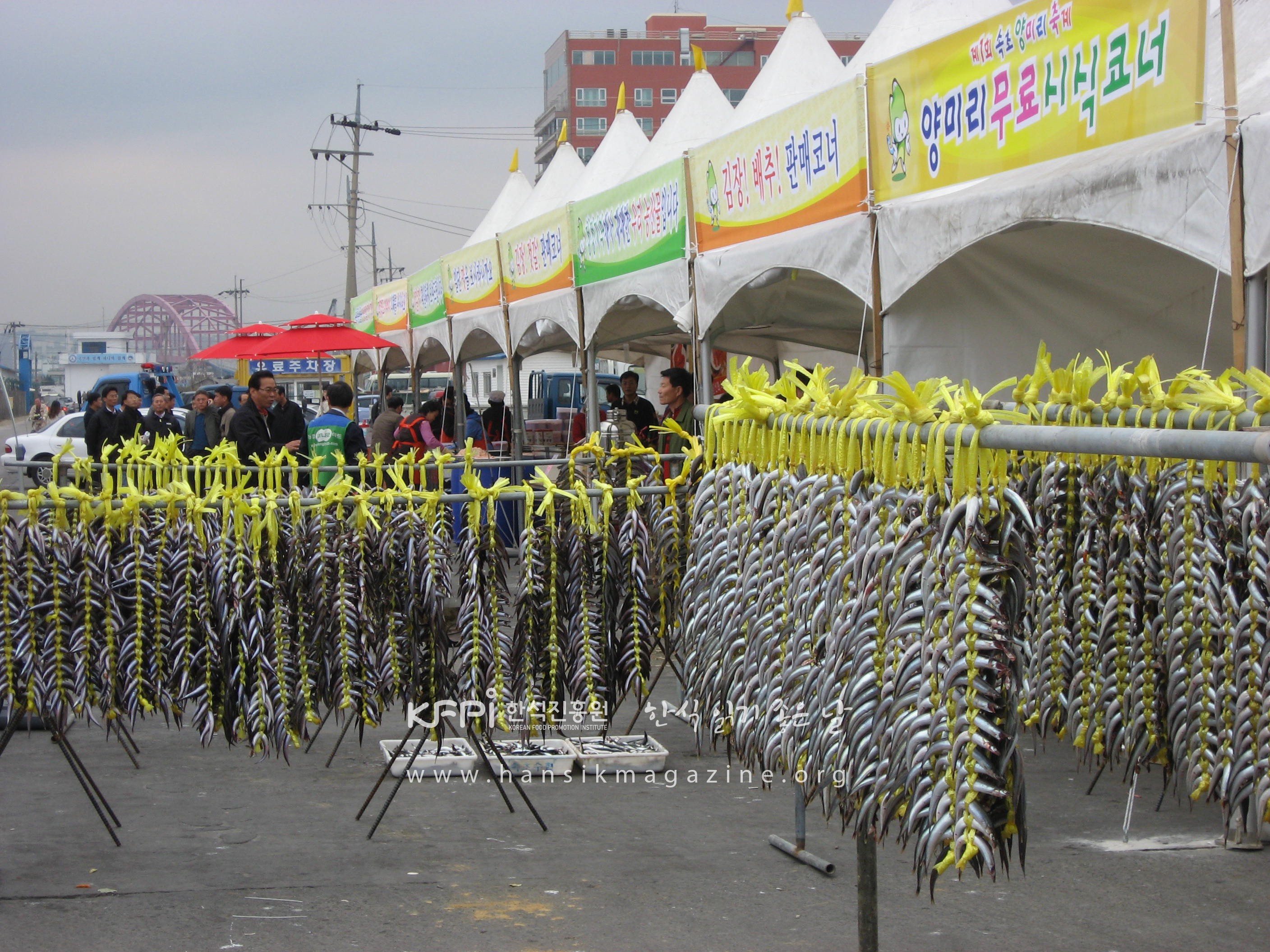 2019 속초 양미리·도루묵 축제 이미지