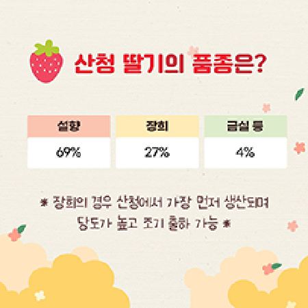 산청 딸기 품종은 설향 69% 장희 27% 금실 등 4% 장희의 경우 산청에서 가장 먼저 생산되며 당도가 높고 조기 출하 가능